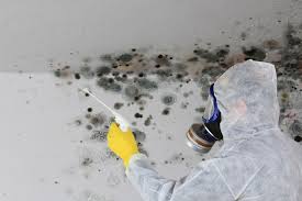 Best Residential Mold Inspection & Testing  in West Newton, PA